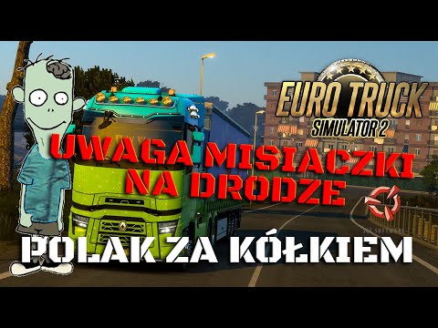 🚦🚚🚚🚚🚚⛽ Polak za kółkiem - Uwaga Misiaczki na drodze 🚦🚚🚚🚚🚚⛽