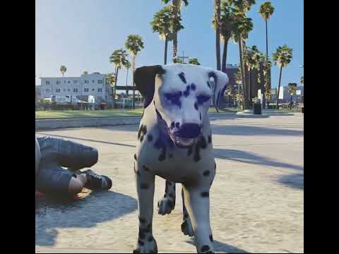 Dalmation Preview