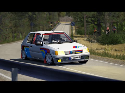 Rallye la Nucia Alicante / Peugeot 205 Rally / Assetto Corsa / ProtosimRacing